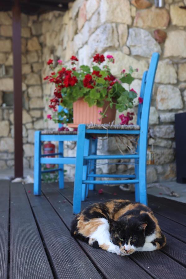 Peristeridi Apartments Polychrono Dış mekan fotoğraf