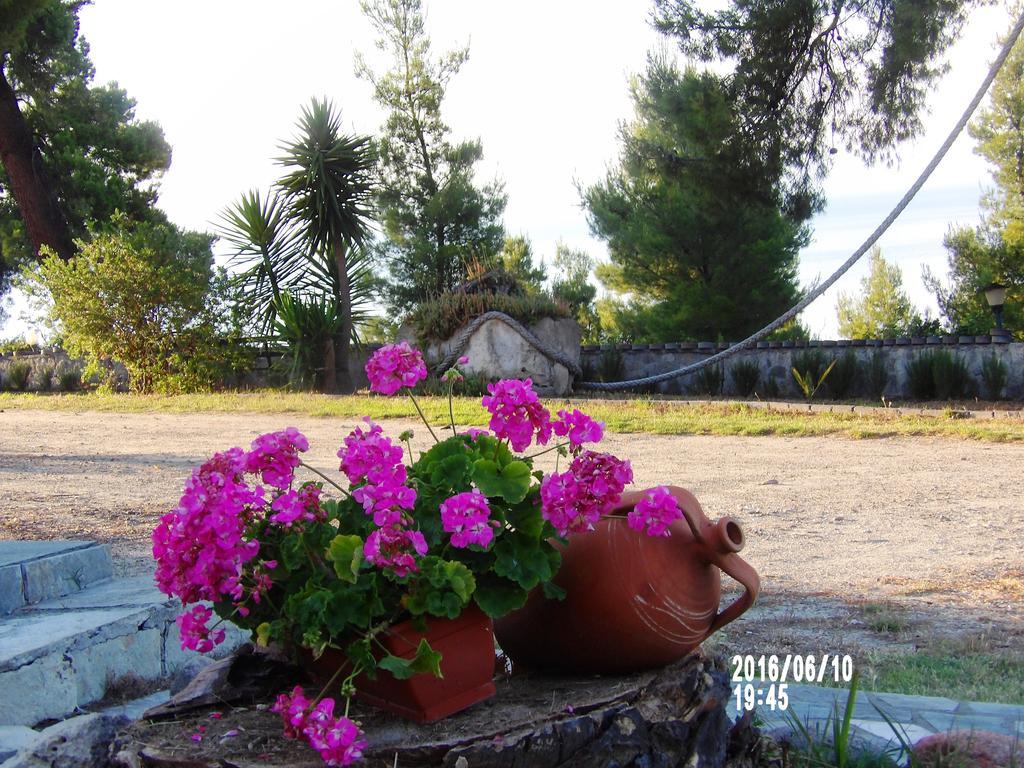 Peristeridi Apartments Polychrono Dış mekan fotoğraf